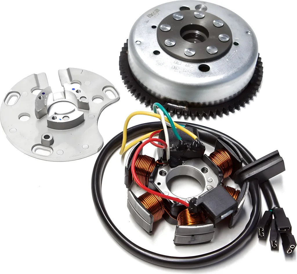Alternateur et roue polaire Derbi GPR 50 Euro 2 RMS - Allumage Complet