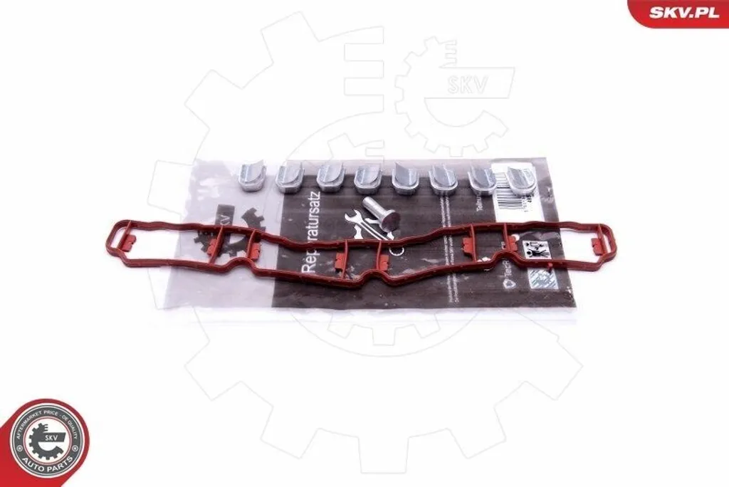 Kit réparation volet admission ESEN SKV 49SKV510 pour VW Golf VI 5K1