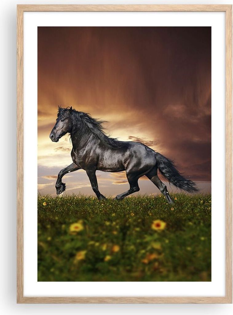 Gerahmtes Poster - Rahmen in heller Eiche - Pferd Tier Wiese - 50x70 cm - Wand Bild - Wanddeko - Wandbilder - Kunstposter - Wandposter - Bilderrahm...