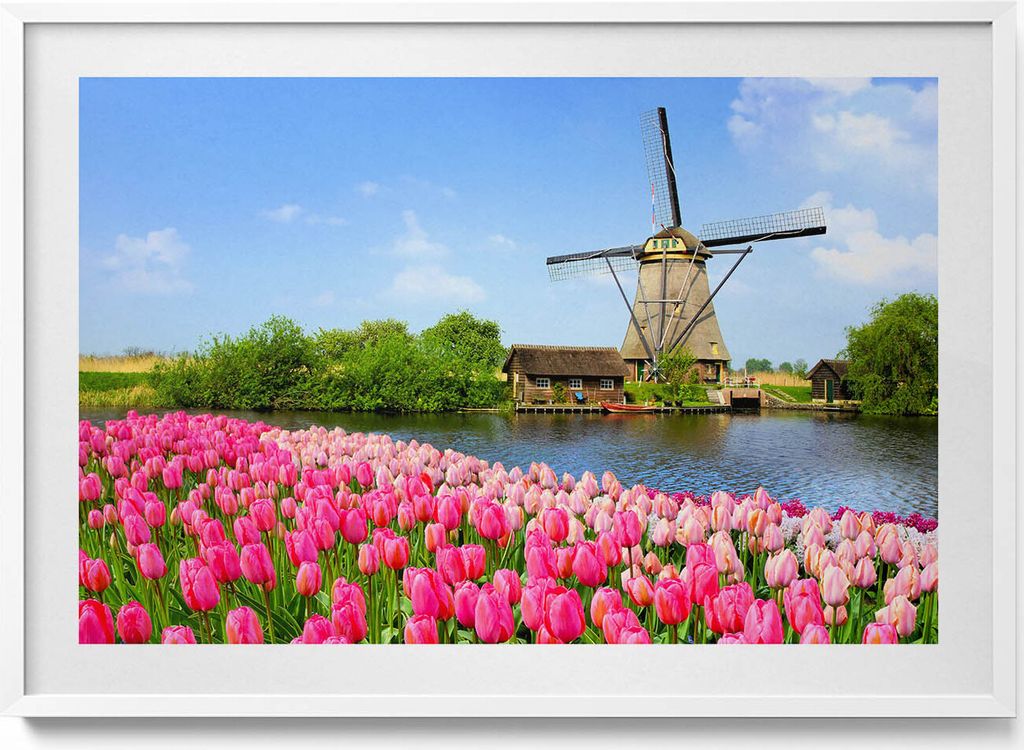 Niederländische Windmühle mit Blumen– Wandbild mit Rahmen – Gerahmtes Bild – Wanddekoration – 100x70 cm – Weiß Rahmen