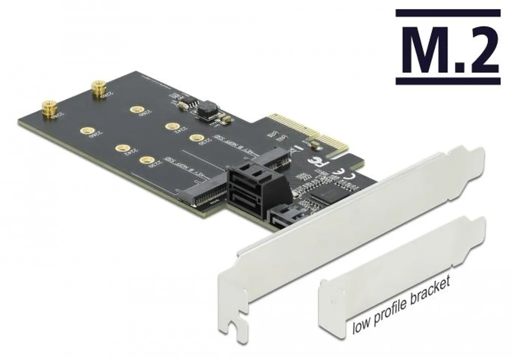 Delock Carte Contrôleur PCIe x4 vers 3 Ports SATA et 2 Slots M.2 Key B