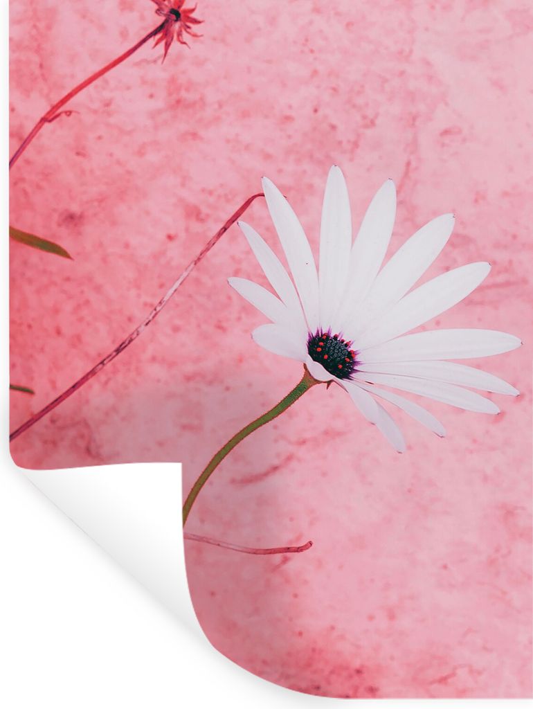 MuchoWow Wandtattoo Wandsticker Wandaufkleber Blumen - Rosa - Vintage 30x40 cm Selbstklebend und Repositionierbar - Sticker - Dekorfolie