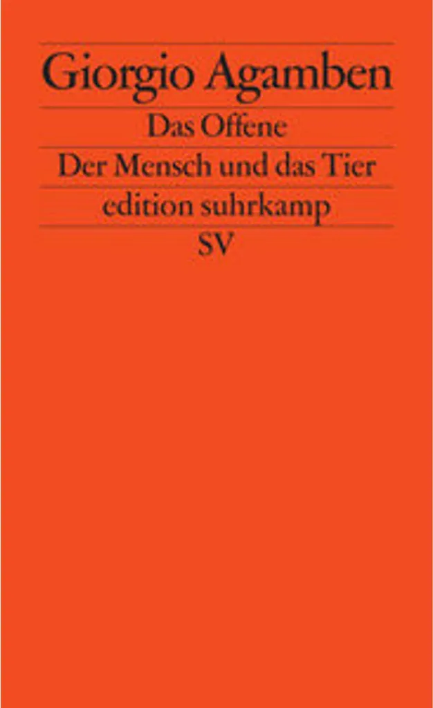 Das Offene Luminaire de Table Minimaliste à Structure Ouverte en Acier