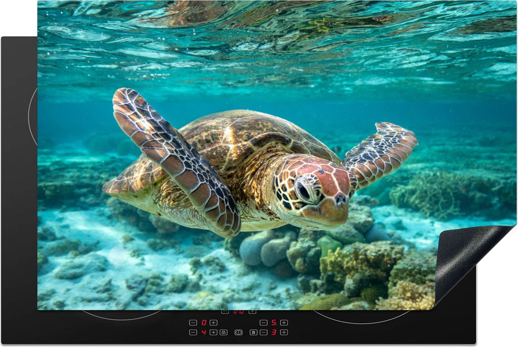 KitchenYeah Herdabdeckplatte Eine Schildkröte schwimmt unter Wasser in Bodennähe , 80x52cm, Küche Deko, Glaskeramikkochfeld Herdabdeckung, Abd...