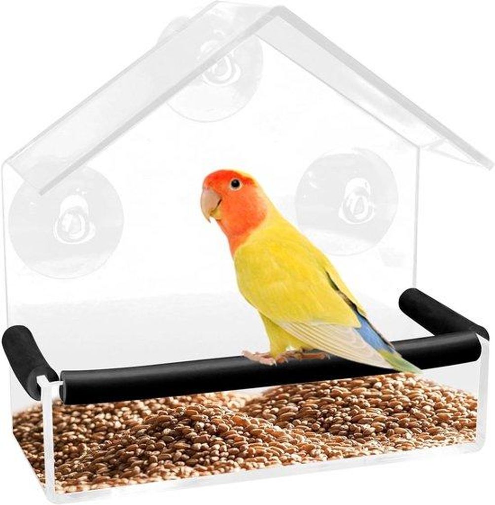 Transparante Vogelhäuschen mit Sichtfenster und Acrylglas
