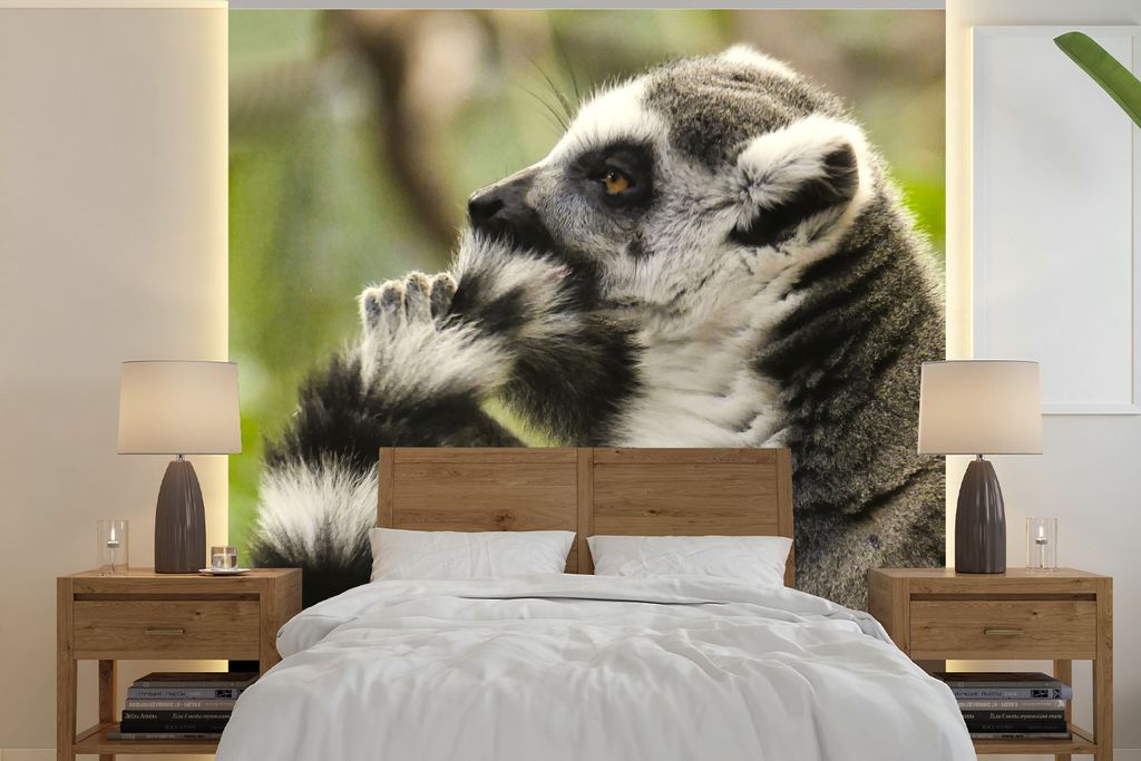 MuchoWow Fototapete für Wohnzimmer oder Schlafzimmer Wandtapete Vinyl Motivtapete Affe - Tier - Ringschwanzlemur - 280x280 cm - Hintergrundbild