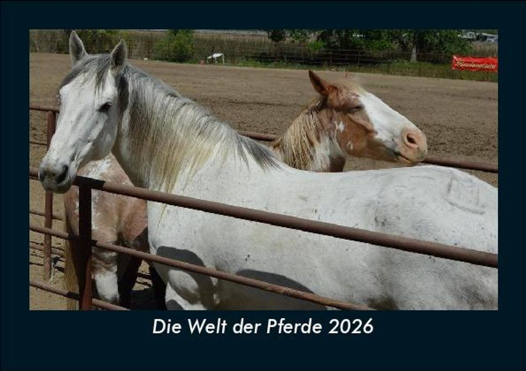 Die Welt der Pferde 2026 Fotokalender - Querformat DIN A5, Monatskalender mit Bild-Motiven von Haustieren, Bauernhof, wilden Tieren und Raubtieren