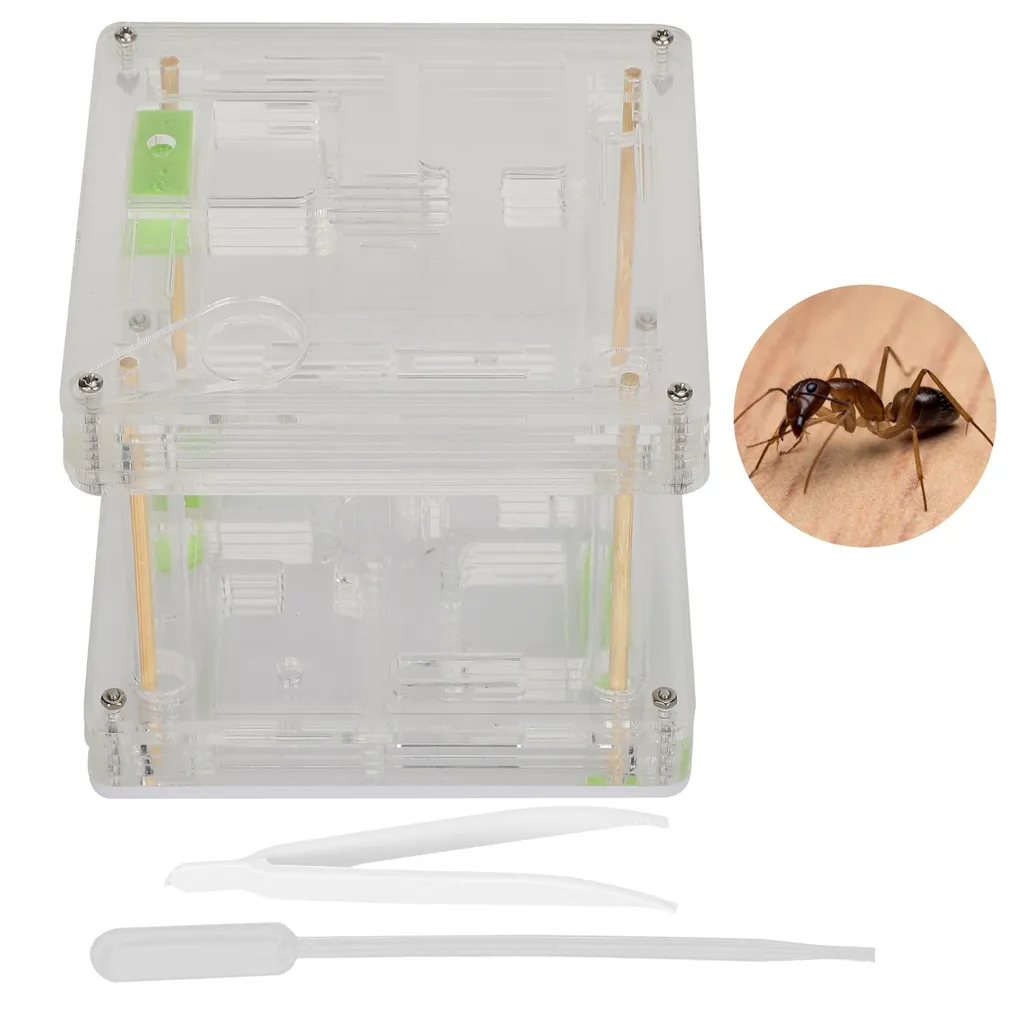 Fourmilière en Acrylique Transparente - Nid de Fourmis Format Villa 15cm - 2