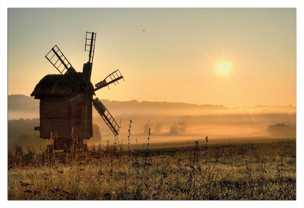 Wallario Poster - Morgendämmerung am Mühlenfeld, Kunstdruck Größe: 61 x 91,50 cm