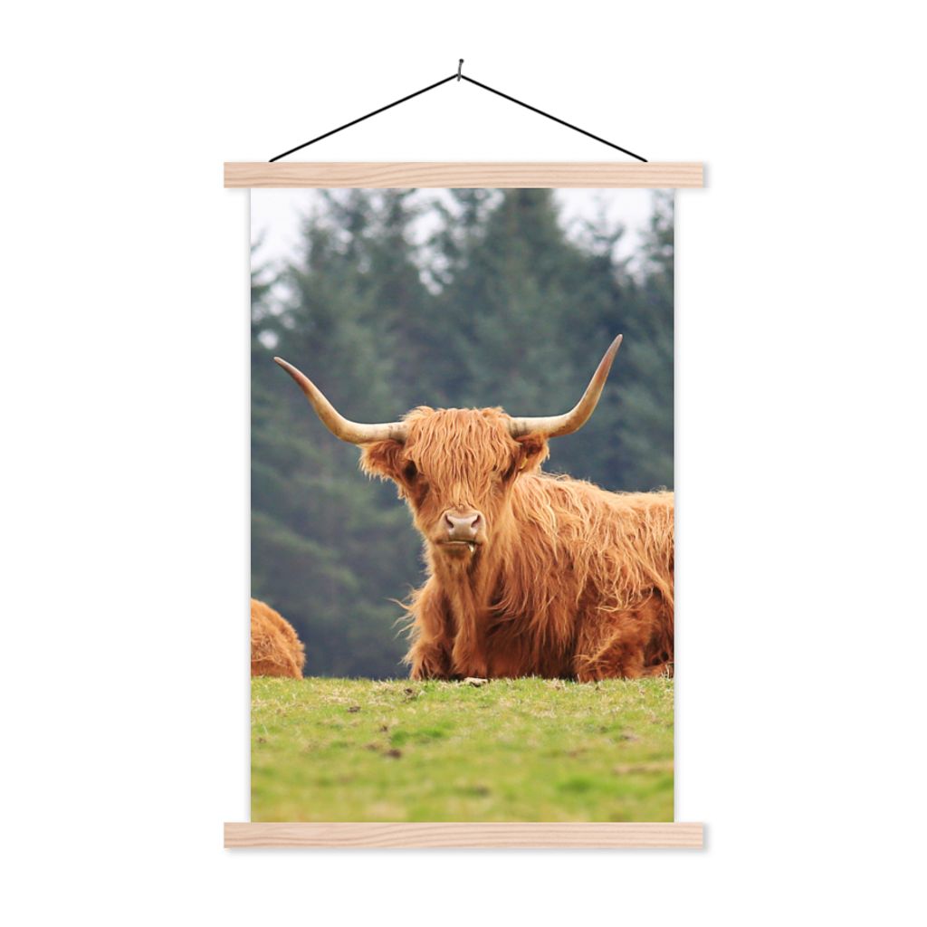 MuchoWow Textilposter Schottische Highlander - Gras - Wald 120x180 cm mit holzfarbenen Rahmen - Textil-Plakat
