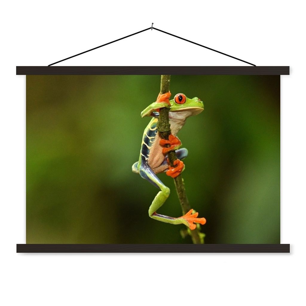 MuchoWow Textilposter Rotaugenlaubfrosch im Dschungel 60x40 cm mit schwarzem Rahmen - Hölzernes