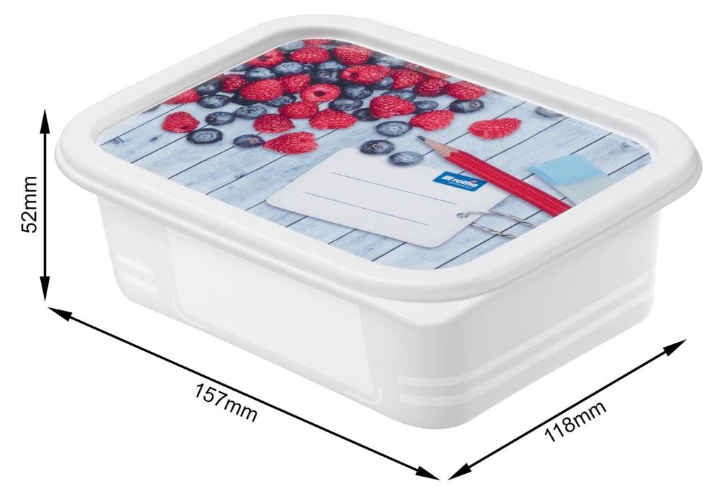 Rotho Set Gefrierdosen 4 tlg. 7551602120 Immagine del prodotto 