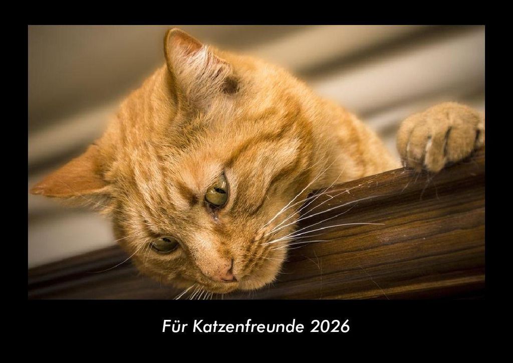 Für Katzenfreunde 2026 Fotokalender - Querformat DIN A3, Monatskalender mit Bild-Motiven von Haustieren, Bauernhof, wilden Tieren und Raubtieren