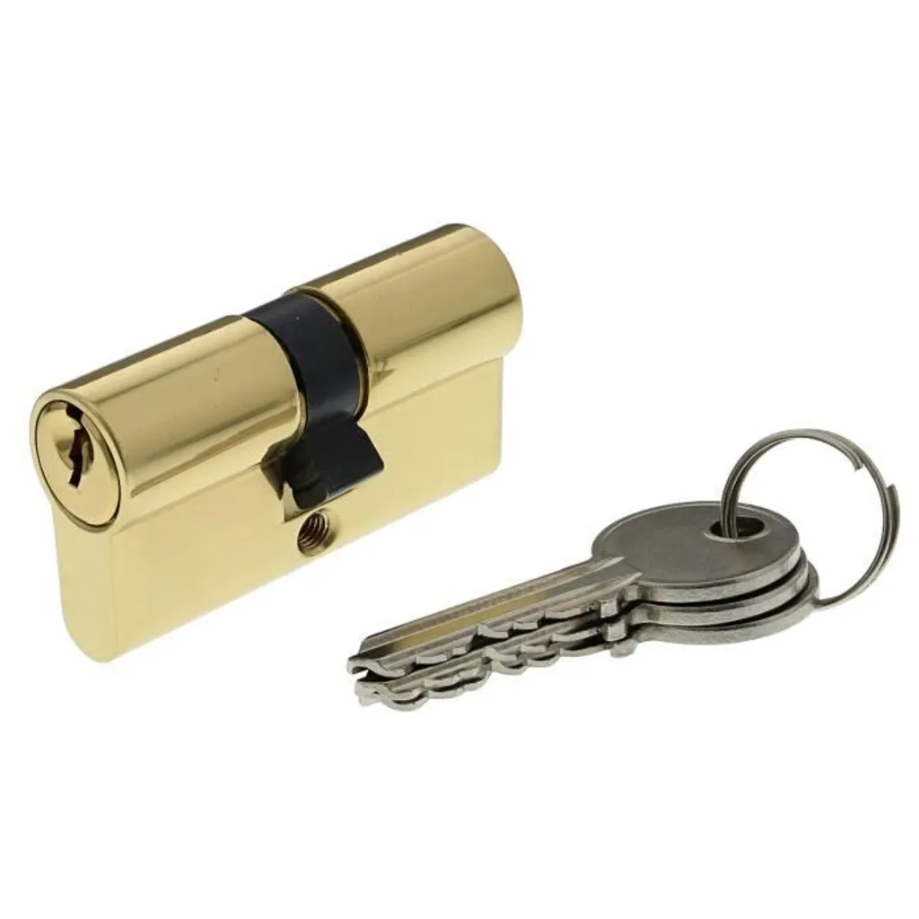 Bricard SecuriPro 30101 - Cilindro Doppia Entrata Ottone 30+30mm