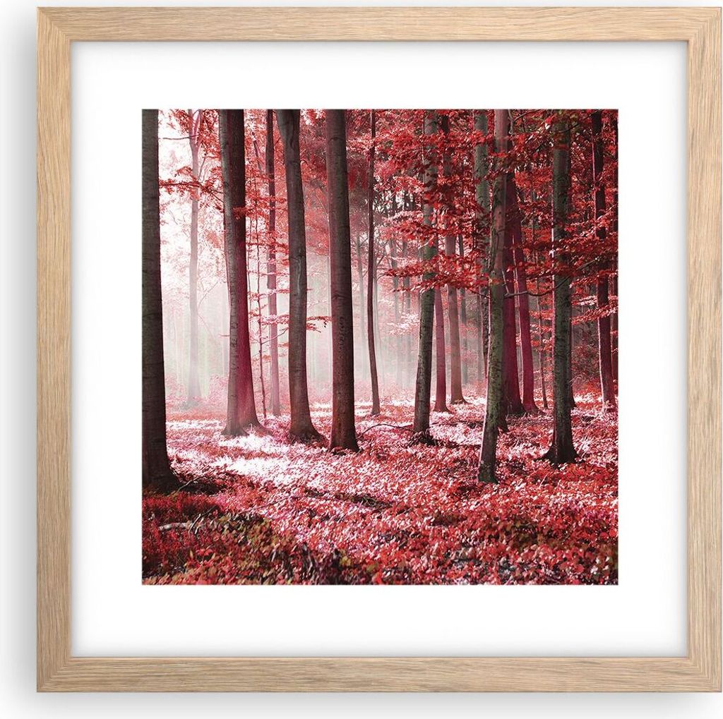 Gerahmtes Poster - Rahmen in heller Eiche - Wald Rot Bäume - 30x30 cm - Wand Bild - Wanddeko - Wandbilder - Kunstposter - Wandposter - Bilderrahme...