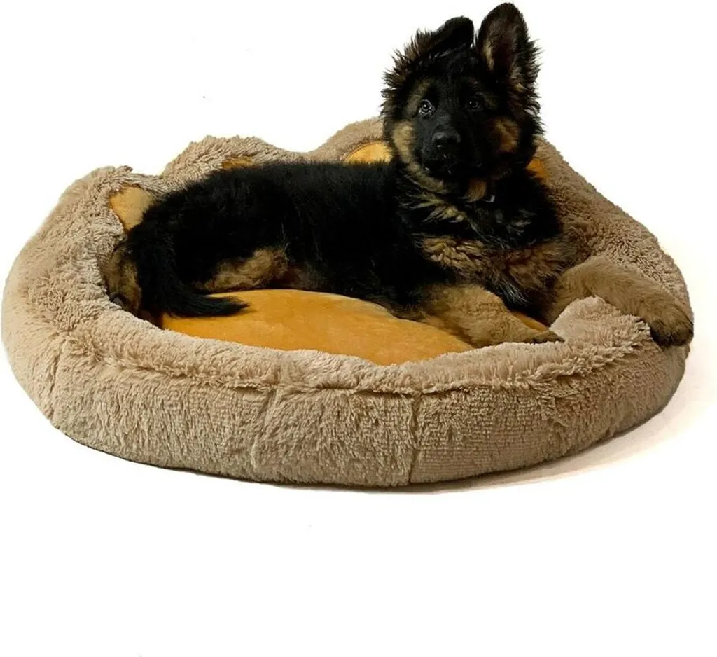 Coussin pour chien XL 75 cm Gogift motif chameau pour grand panier