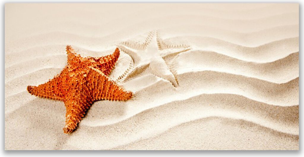 Glasbilder 120x60 Wandbild Druck auf Glas Seesterne Sand Kunst