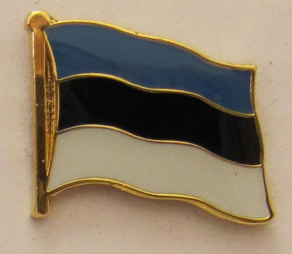Pin Anstecker Flagge Fahne Estland Nationalflagge Produktbild 