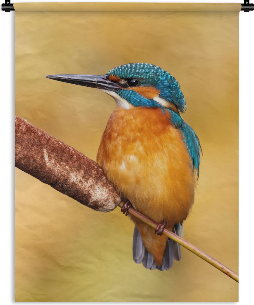 MuchoWow Wandteppich Wandbehang Eisvogel - Natur - Vogel 60x80 cm Tapisserie Dekoration Wandtuch - Decke - Wandtücher - Wohne