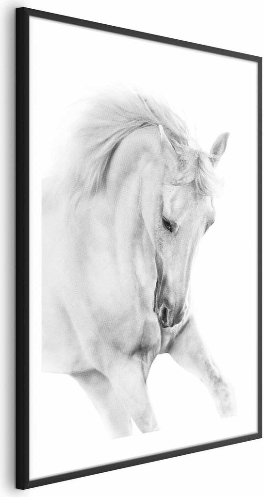 Posterpapier Poster - White Horse 21x30 cm Tiere g-B-0110-ao-a