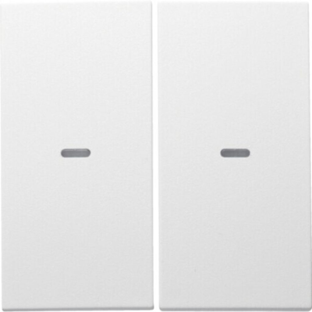 Berker S.1/B.X ABDECK. 2F M.KL.LINSE (80960399 PW MATT)