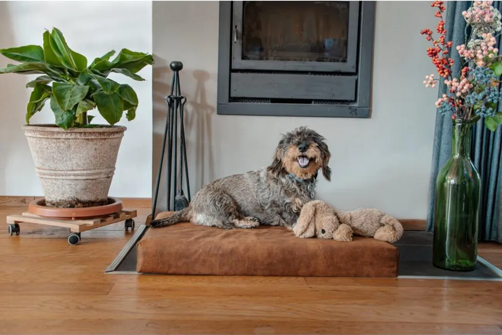Panier orthopédique Lets Sleep Mellow pour chien de taille moyenne Taupe