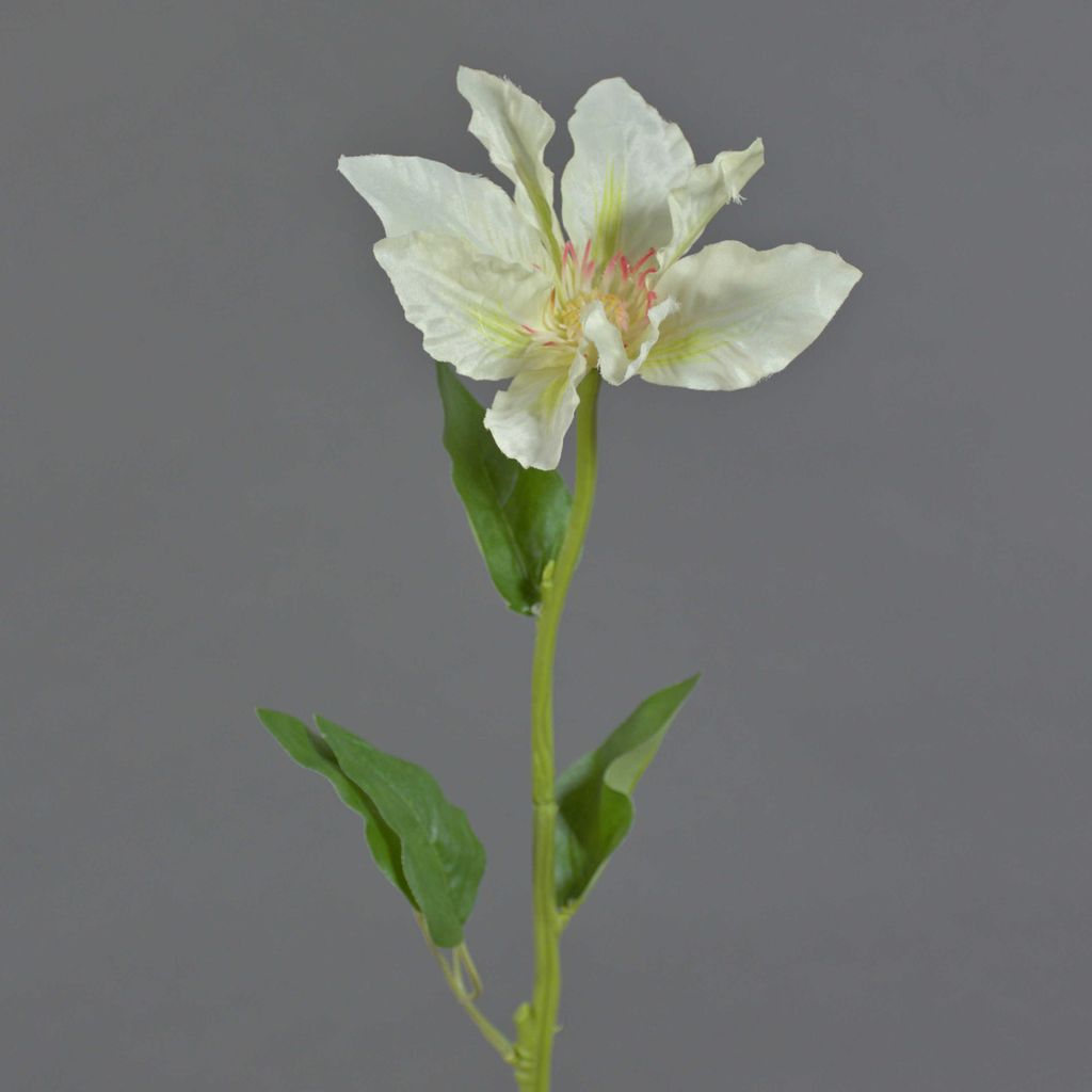 artplants.de Künstliche Blume Clematis JINJIN, Creme, 50 cm - Künstliche Stielblume