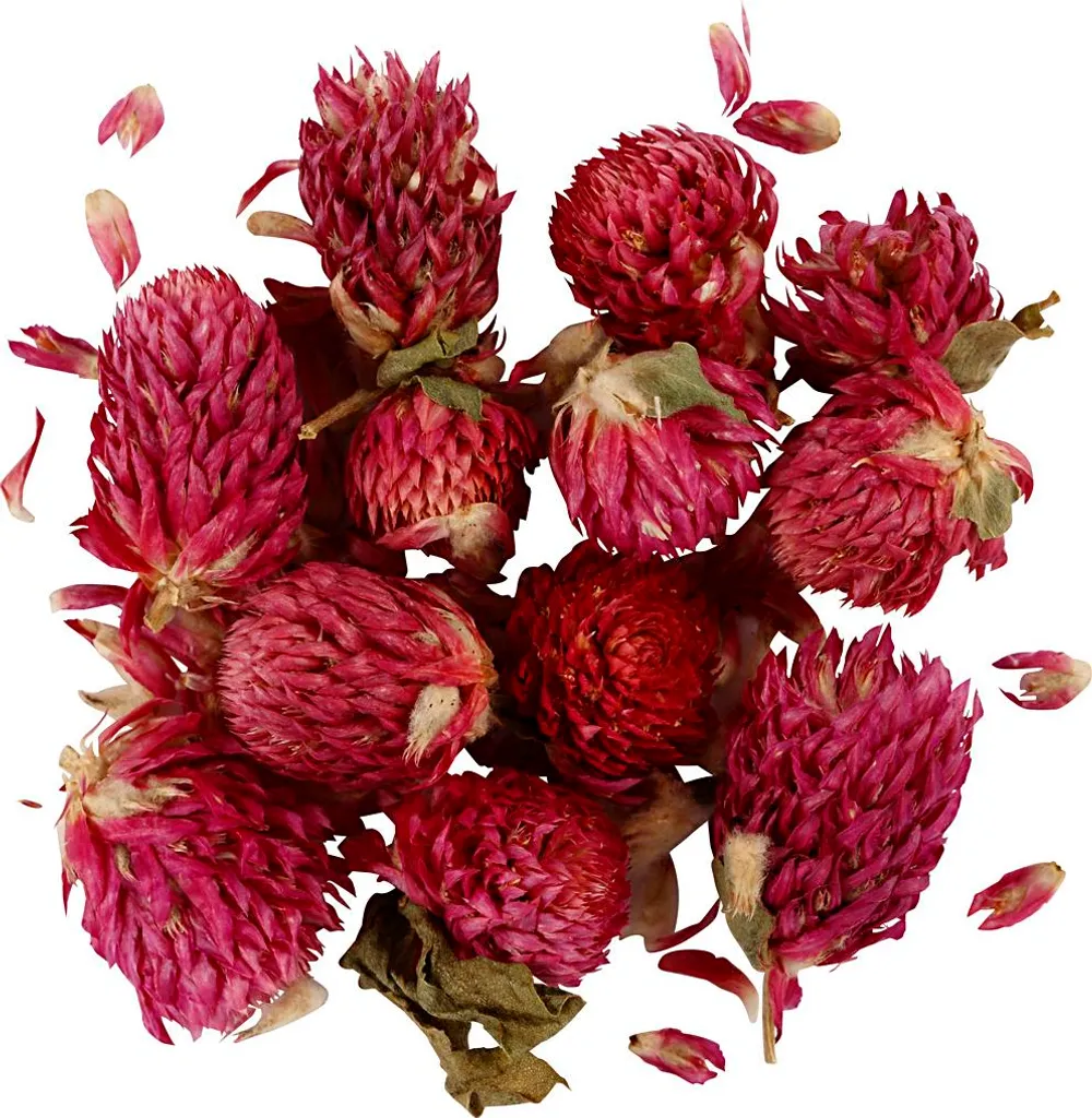 Trèfle rouge violet séché de qualité supérieure, sachet artisanal 15g