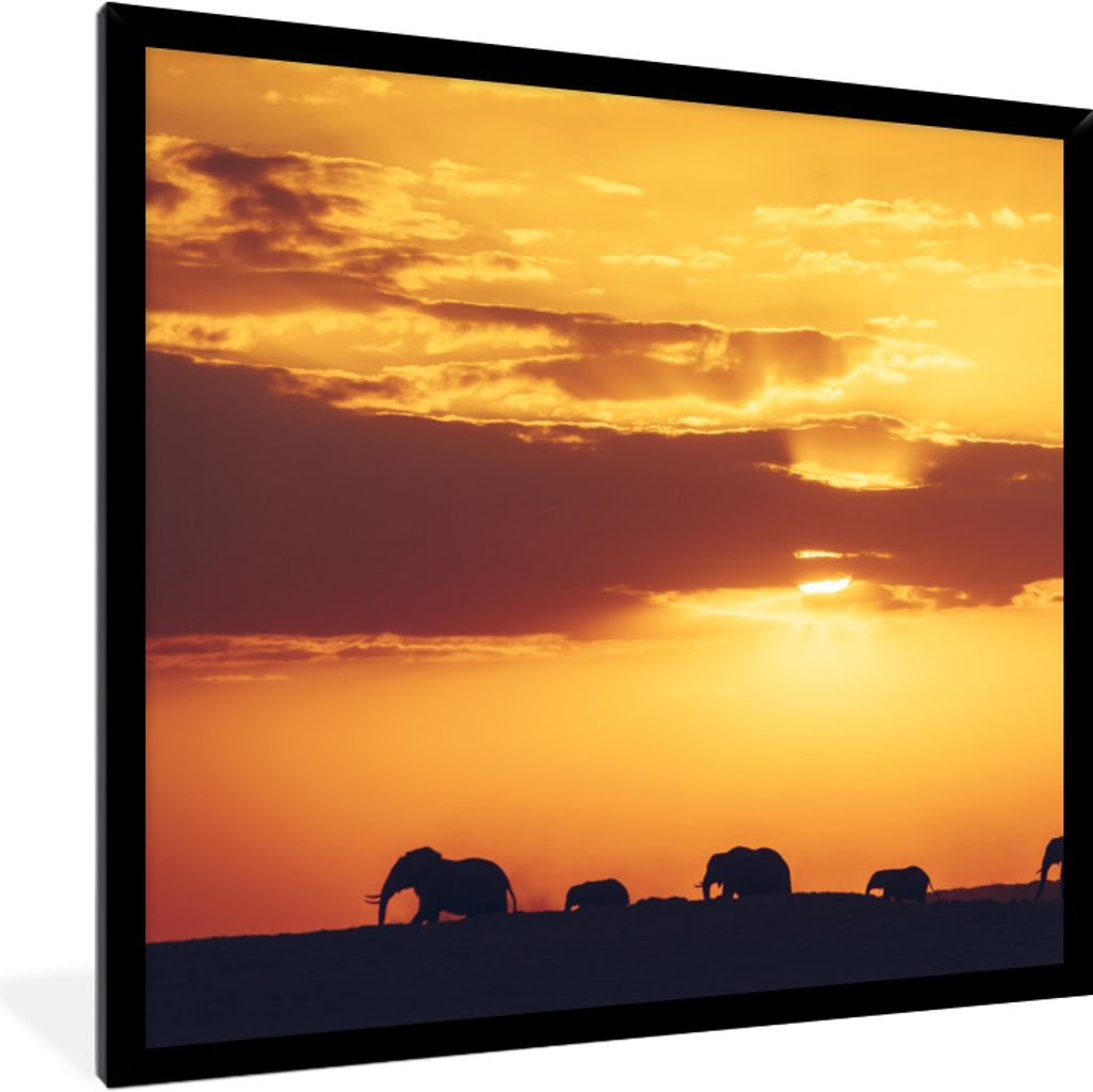 MuchoWow Gerahmtes Poster Elefantenherde bei Sonnenuntergang 40x40 cm - Poster mit Schwarzem Bilderrahmen Wandposter Rahmen Foto Bilder - Mit Rah...