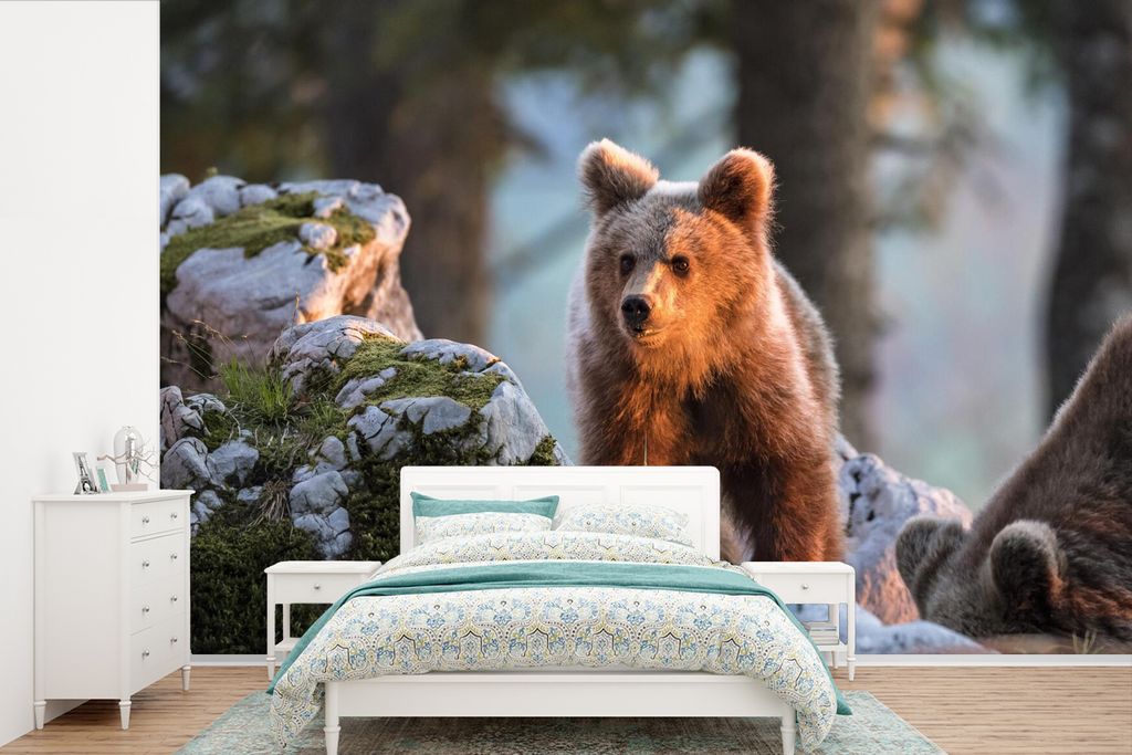 MuchoWow Fototapete für Wohnzimmer oder Schlafzimmer Wandtapete Vinyl Motivtapete Bär - Braun - Tier - 330x220 cm - Fototapeten