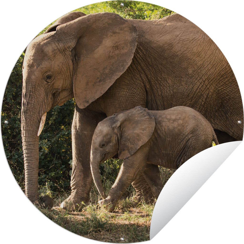 MuchoWow Gartenposter Outdoor-Poster Rund Wanderndes Elefantenbaby mit seiner Mutter Ø 90 cm Gartendeko Rundes Poster draußen
