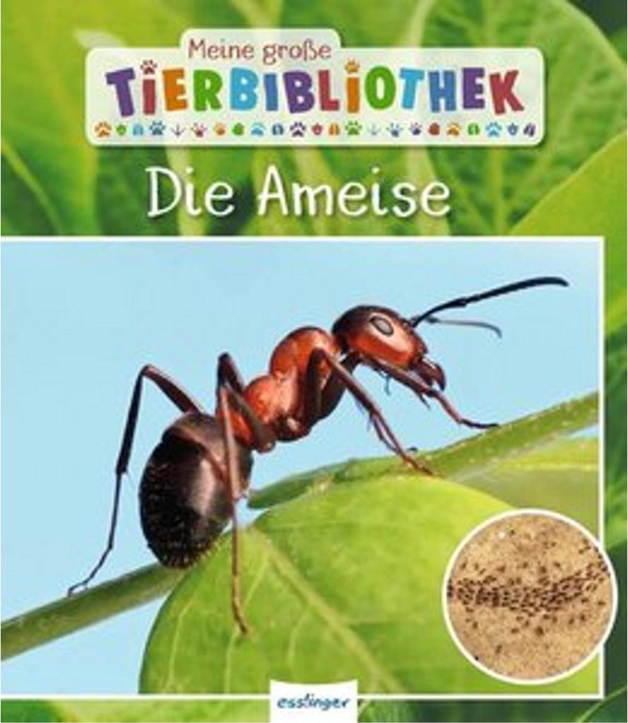 Meine große Tierbibliothek: Die Ameise Produktbild 