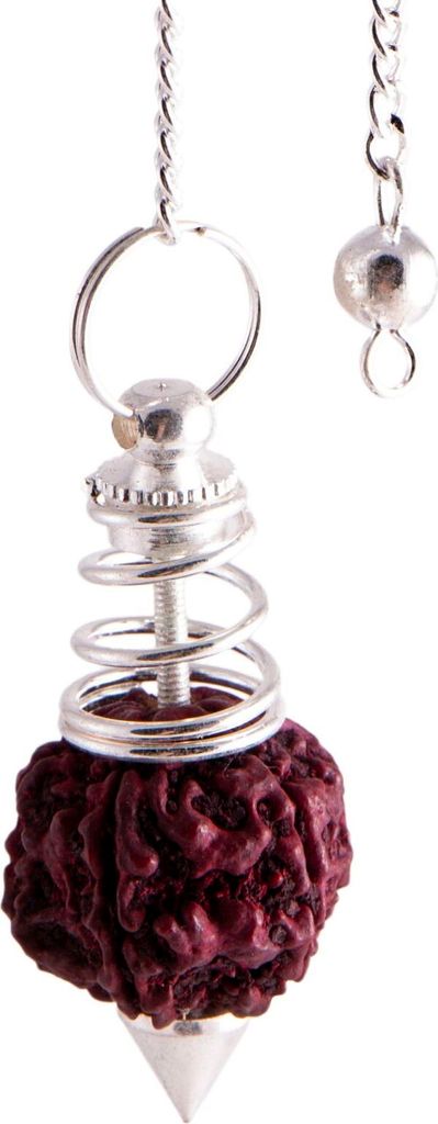 Pendel Rudraksha