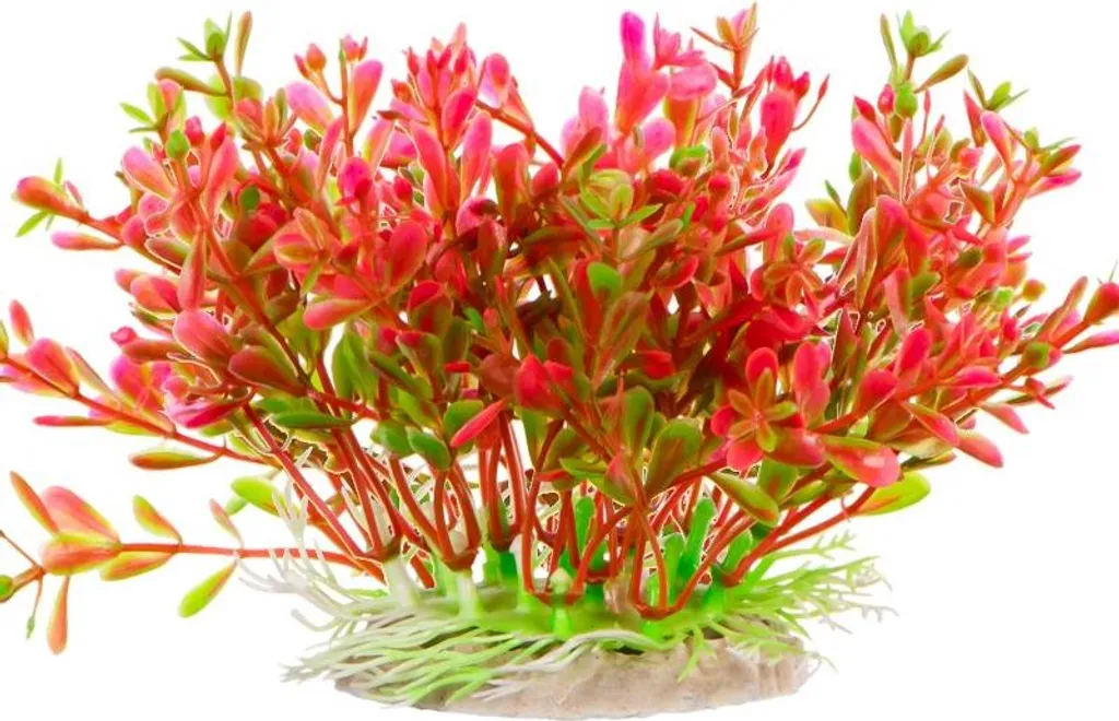 Plante artificielle pour aquarium Kruger Meier Fluo Big grand format
