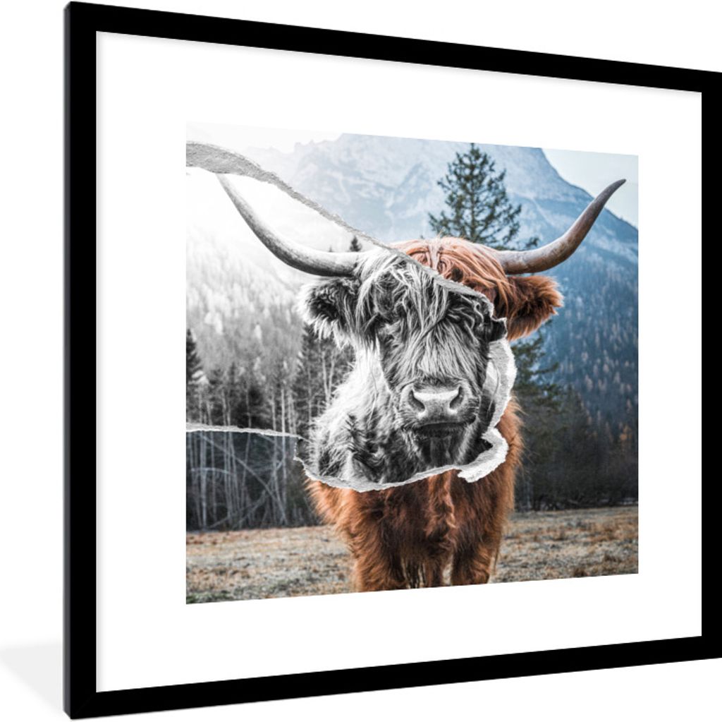MuchoWow Gerahmtes Poster Tiere - Schottischer Highlander - Stier 40x40 cm - Poster mit Schwarzem Bilderrahmen Wandposter Rahmen Foto Bilder - Po...