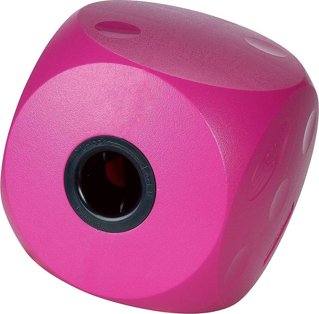 Buster Futter Würfel TL4010 (Large) (Pink)