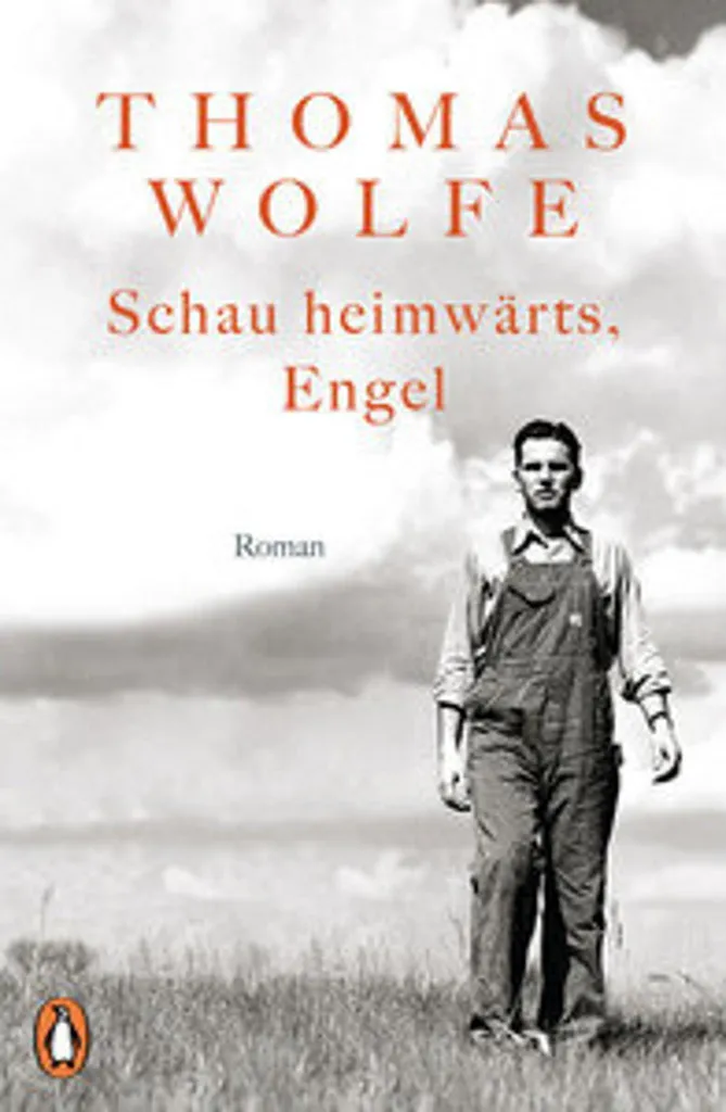 Schau heimwärts, Engel! Thomas Wolfe - Roman Allemand Littérature Culte