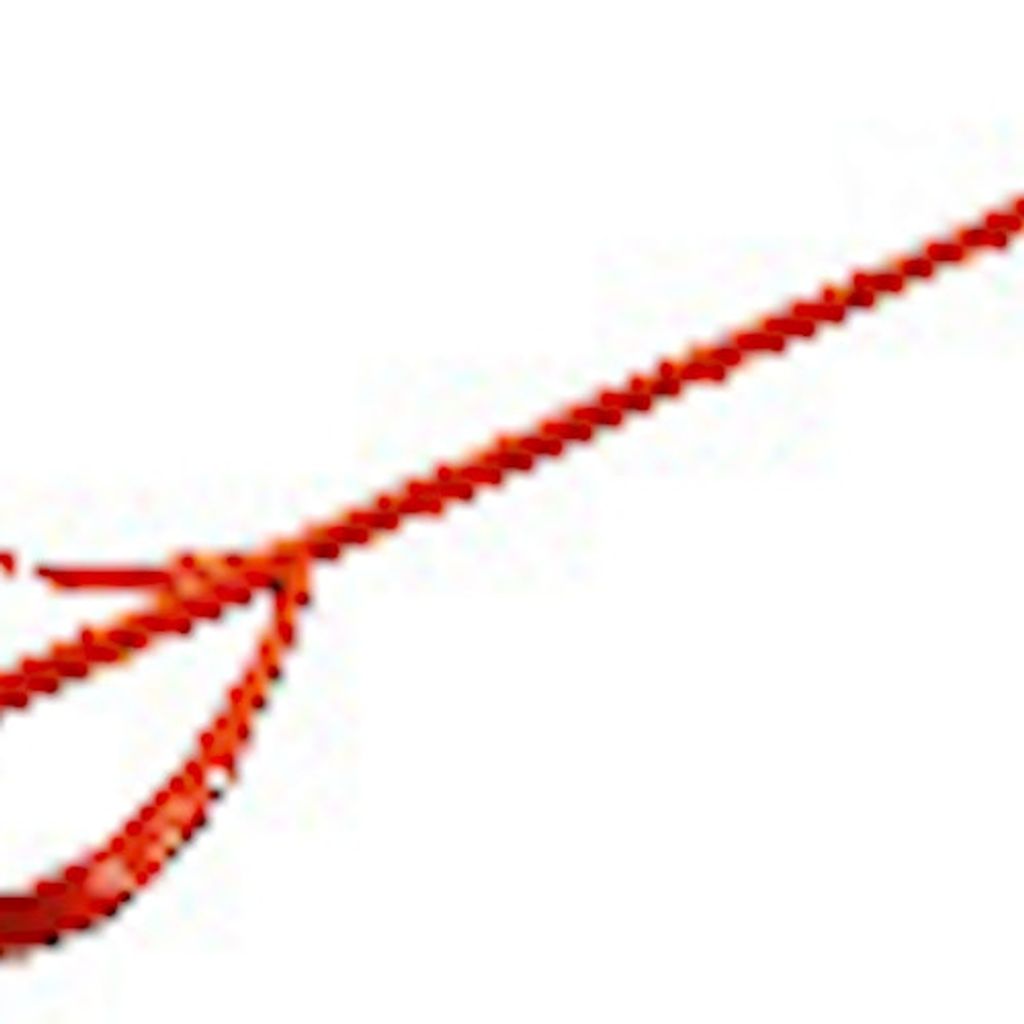 Fein Rührwerk 600 mm lang Ø 110 mm - 63902002013