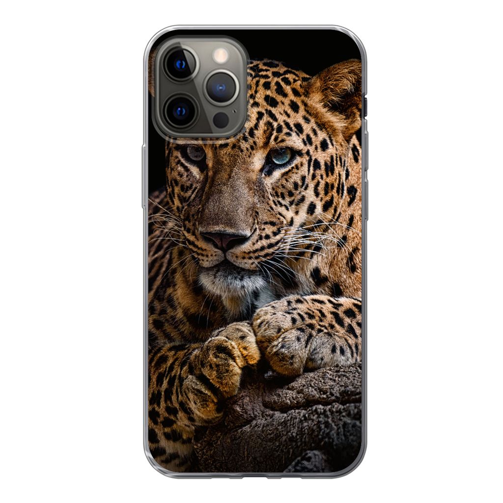 MuchoWow Handyhülle Schutzhülle Hülle für iPhone 13 Pro Wildtiere - Panther - Porträt - Schwarz - Tiere Silikon Softcase Handy Hülle - Hand...