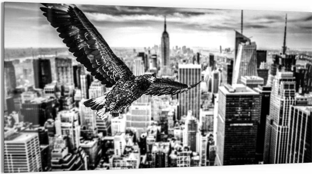 DEQORI Glasbild Acryl 100x50 cm 'Über den Dächern' Wandbild Bild modern Deko