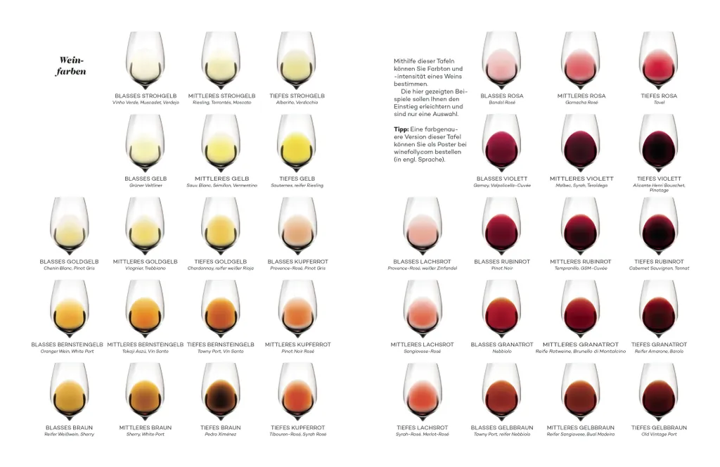 Apprendre le vin avec le Master-Wein-Guide : Accords mets et vins parfaits