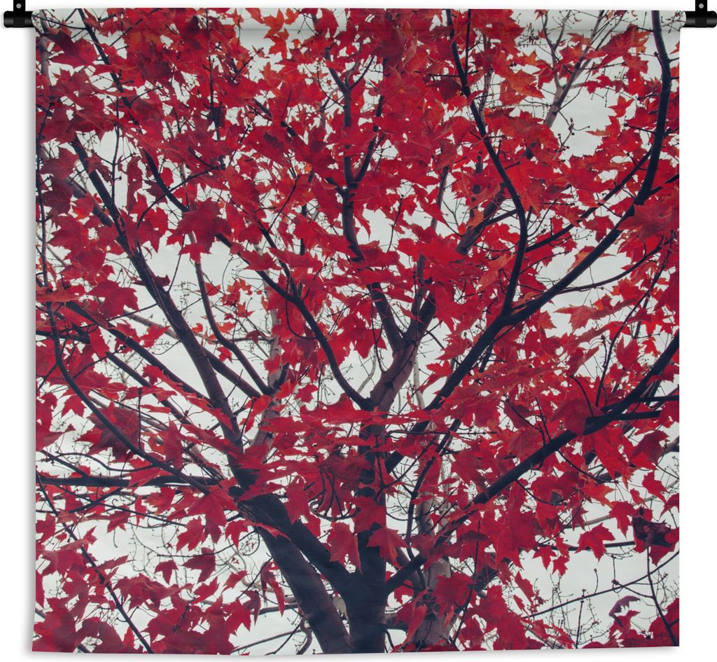 MuchoWow Wandteppich Wandbehang Ahorn - Blätter - Herbst - Natur 90x90 cm Tapisserie Dekoration Wandtuch - Wandaufhänger
