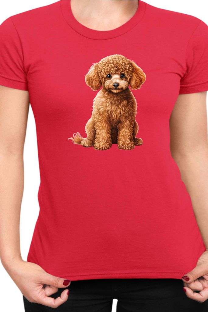 Damen T-Shirt Dogs Breeds Poodle Dog Breed 006, Lady M / Rot