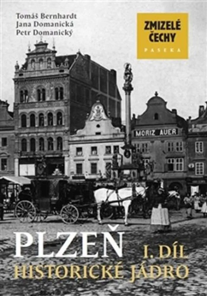 Livre Photographique sur Plzeň 1 : Archives du Vieux Centre de Bohême