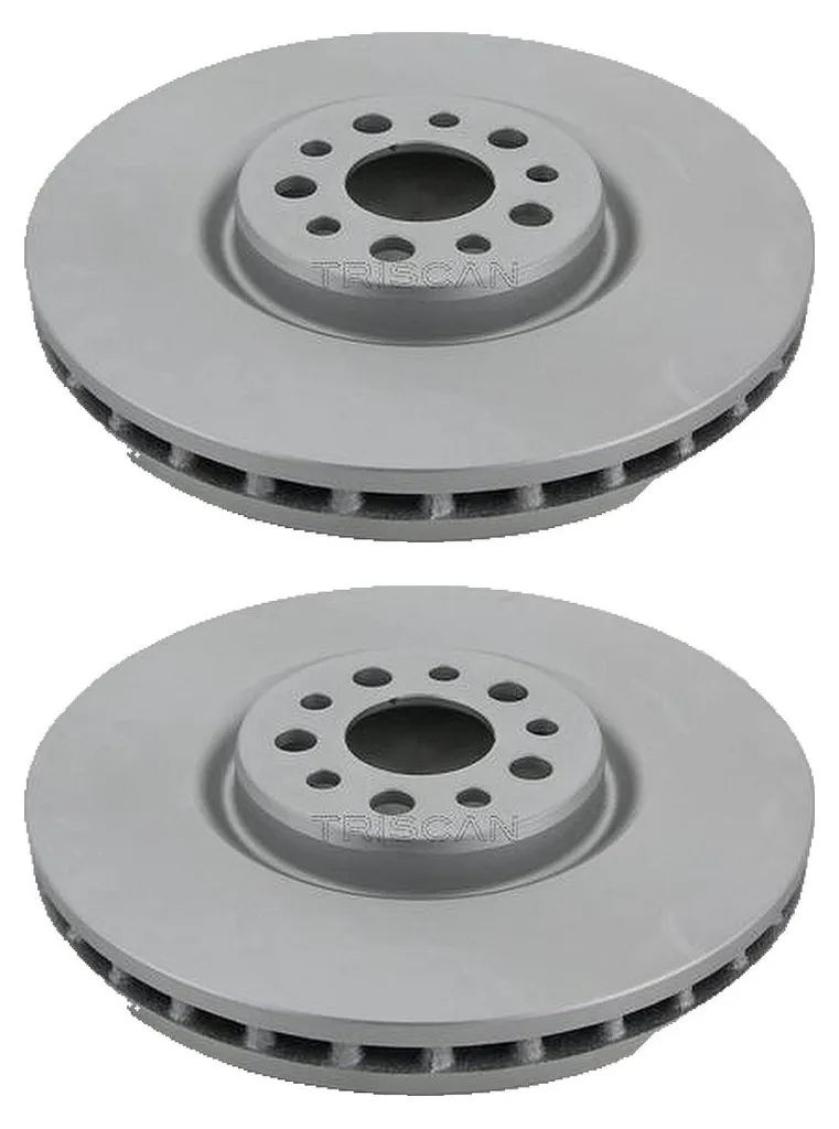 Éliminez les vibrations de freinage : Disques ventilés TRISCAN 310 mm