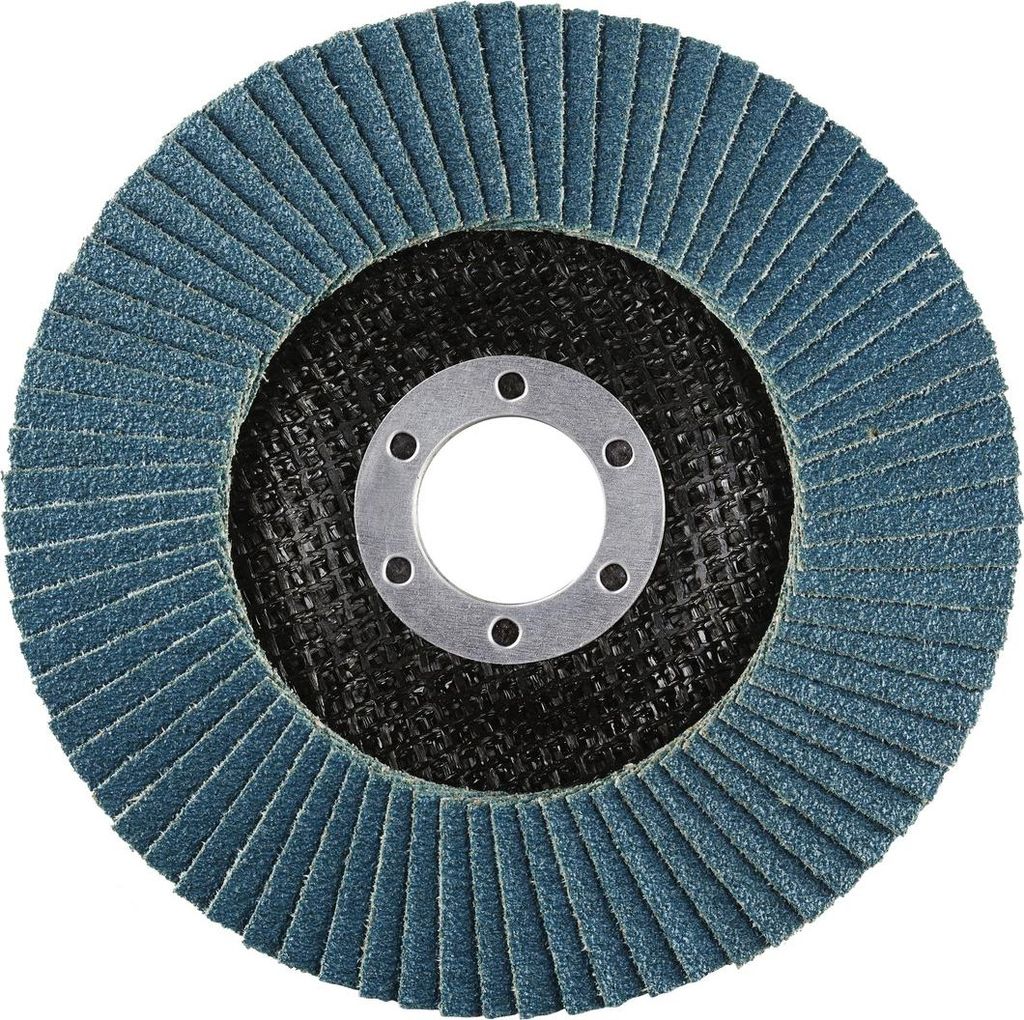 Rhodius 210483 LSZ F3 Flap disc Diameter 125 mm Bore diameter 22.23 mm Stainless steel 1 pc(s)