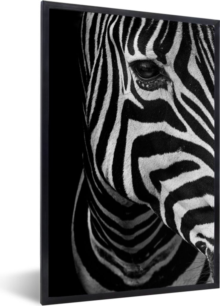 MuchoWow Gerahmtes Poster Tiere - Zebra - Schwarz - Weiß 20x30 cm - Poster mit Schwarzem Bilderrahmen Wandposter Rahmen Foto Bilder - Drucken - ...