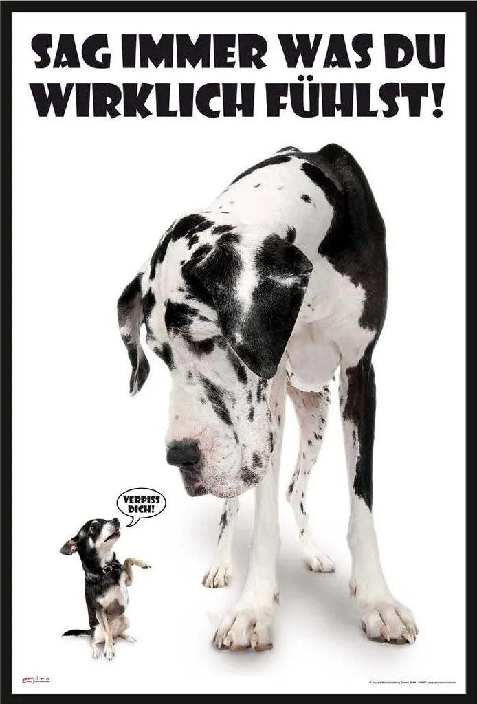 Décoration Murale Humour Chiens pour Bureau et Salon avec Cadre Shinsuke