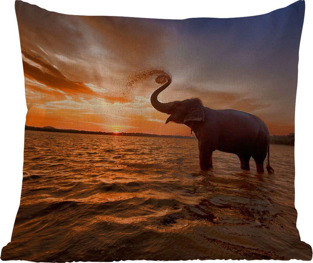 MuchoWow Outdoor Kissen - Elefant - Meer - Tiere - Sonnenuntergang - Orange - 60x60 cm - Wetterfest - Lounge Kissen - Dekoration - Schlaf Kissen