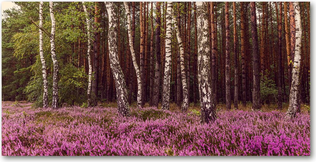 Tulup Leinwandbild -100x50 cm - Wandkunst - Drucke auf Leinwand - Leinwanddruck - Landschaften - Rosa - Heide